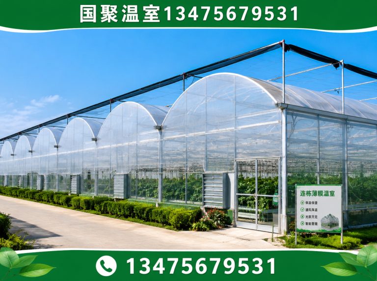 潍城区青州温室展示图